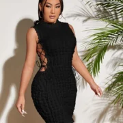 SHEIN SXY Lace Up Stand Collar Textured Dress