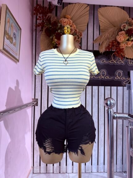 Ribbed Stripe Crop Tee