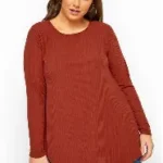 Rust orange Roll Neck Long Sleeve Jumbo Ribbed