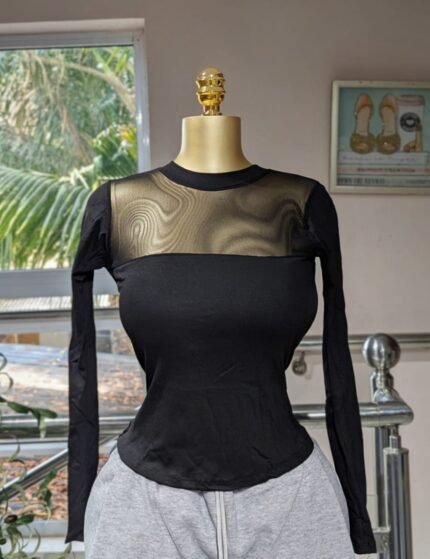 Iconiq Sheer Mesh Long Sleeve Top